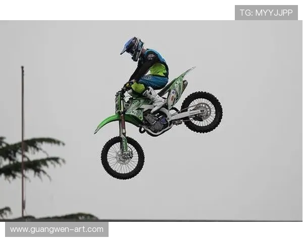 极限运动战术与运营模式探讨：上海极限运动队的成功经验与启示