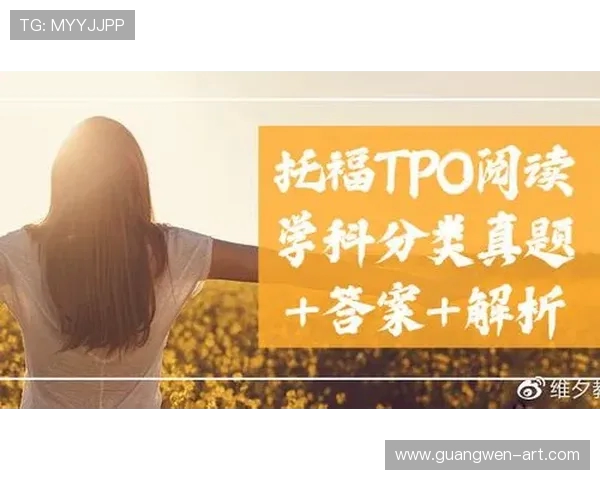 独家解析V5技术优势与其他版本的全面对比分析