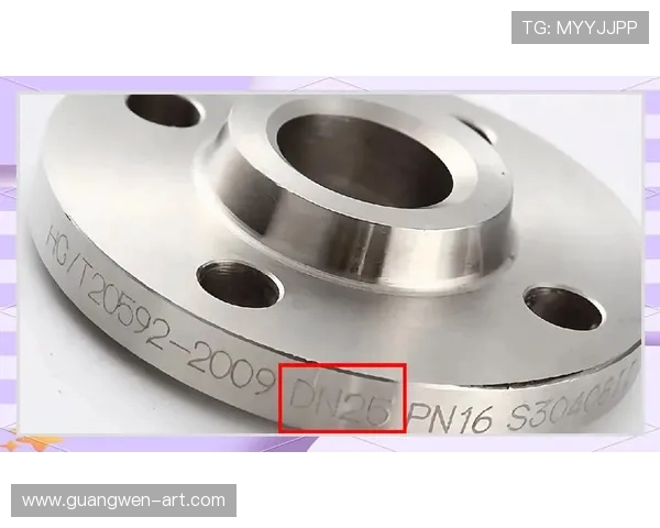 FS法兰与卡尔斯的全面对比分析及市场前景探讨